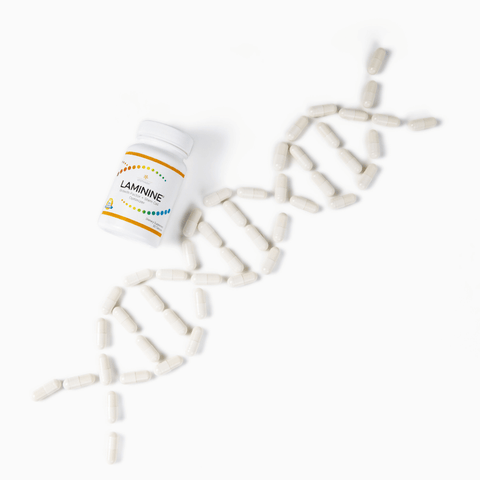 laminine optimum health booster